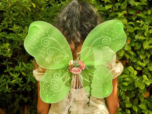 Green Fairy Wings