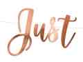 just married banner