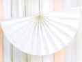 White Paper Fan