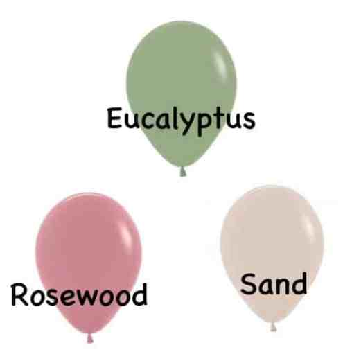 Balloons Colours