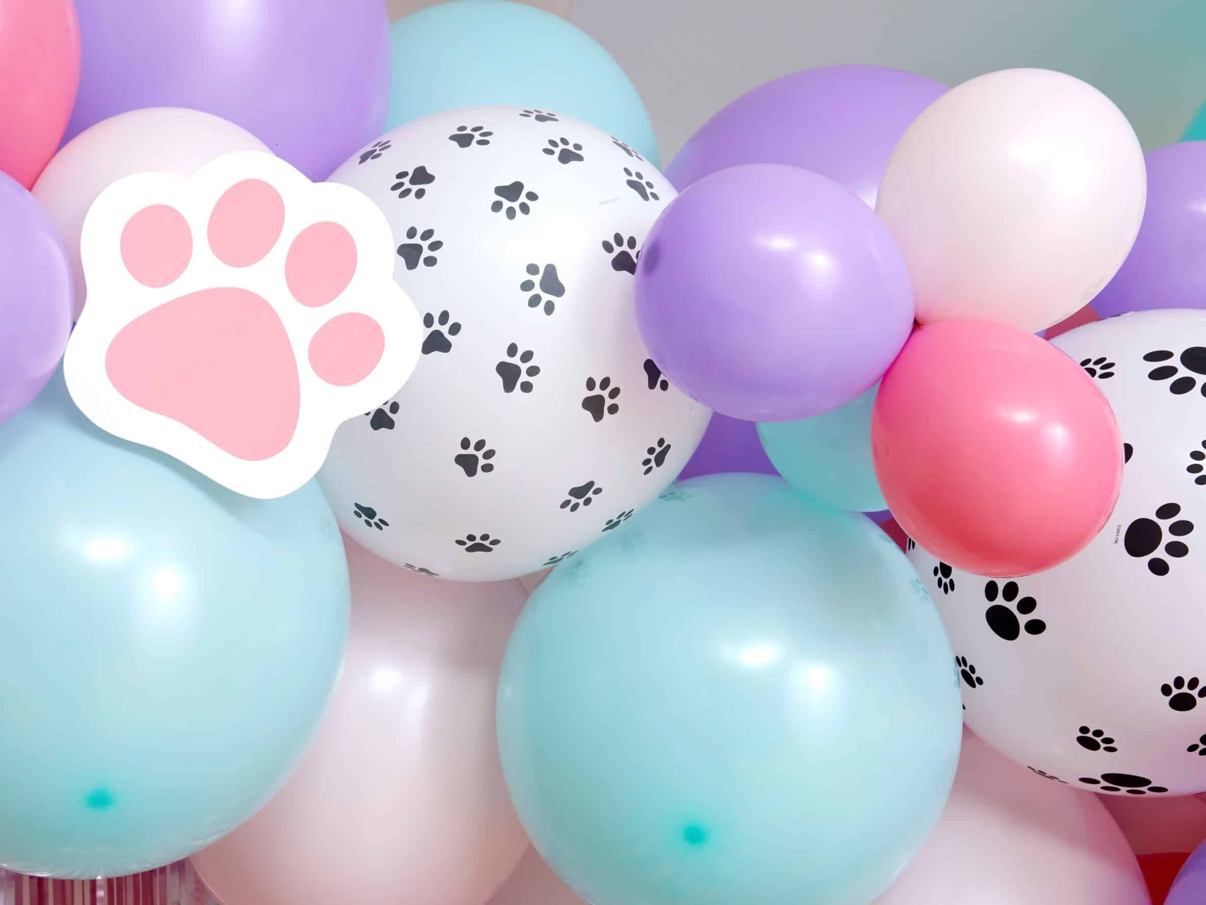 Pink Paw Cutout and Balloon Detail