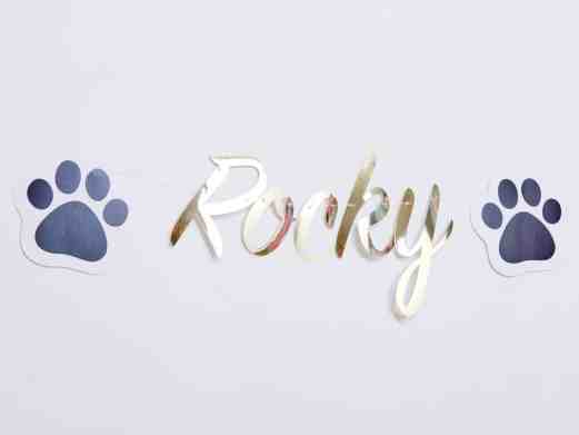 Rocky Personalised Banner