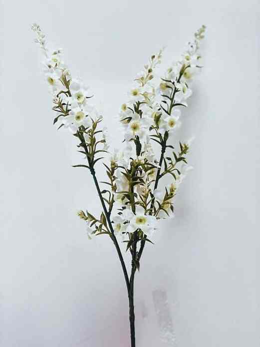 white flowers branch