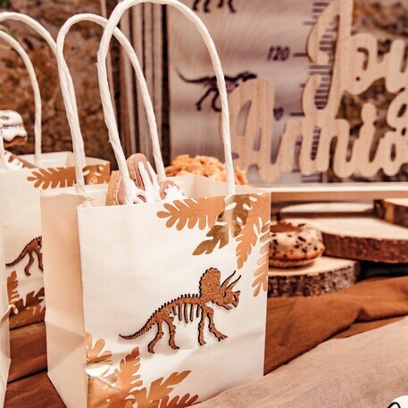 Dinosaur Gift Bags